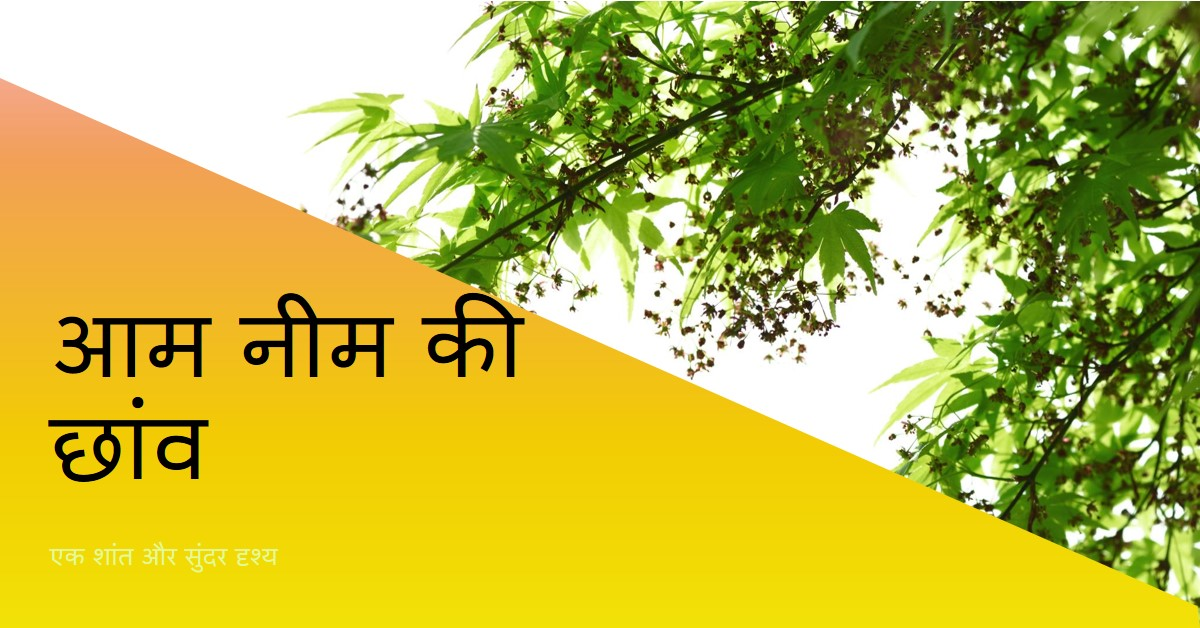 आम नीम की छांव
